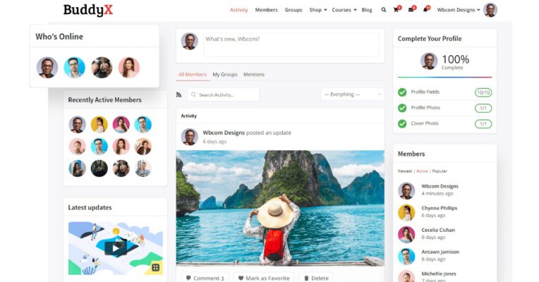 Say Hello To WordPress Social Network Theme BuddyX - Free Version