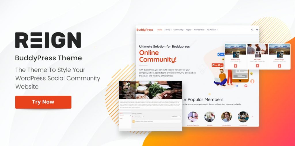 WordPress BuddyPress Themes