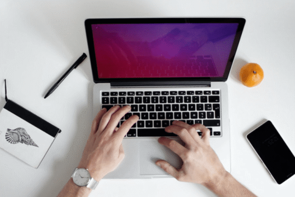 WordPress intranet theme