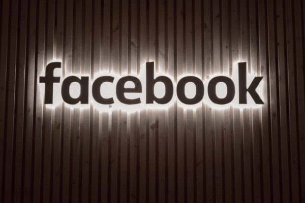Best Facebook WordPress Themes