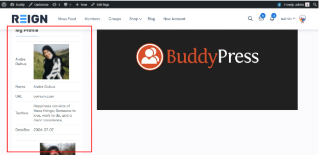 BuddyPress User Info Widget