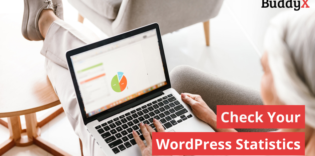Check wordpress stats