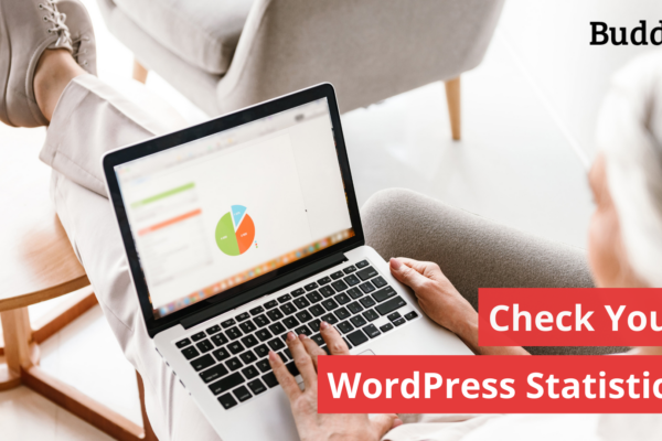 Check wordpress stats