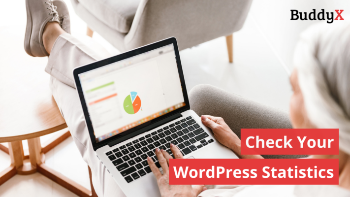 How to Check Your WordPress Statistics? (2022 Guide)