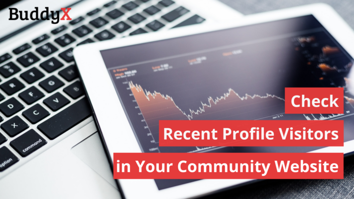 How to Check Recent Profile Visitors in Your Community Website?