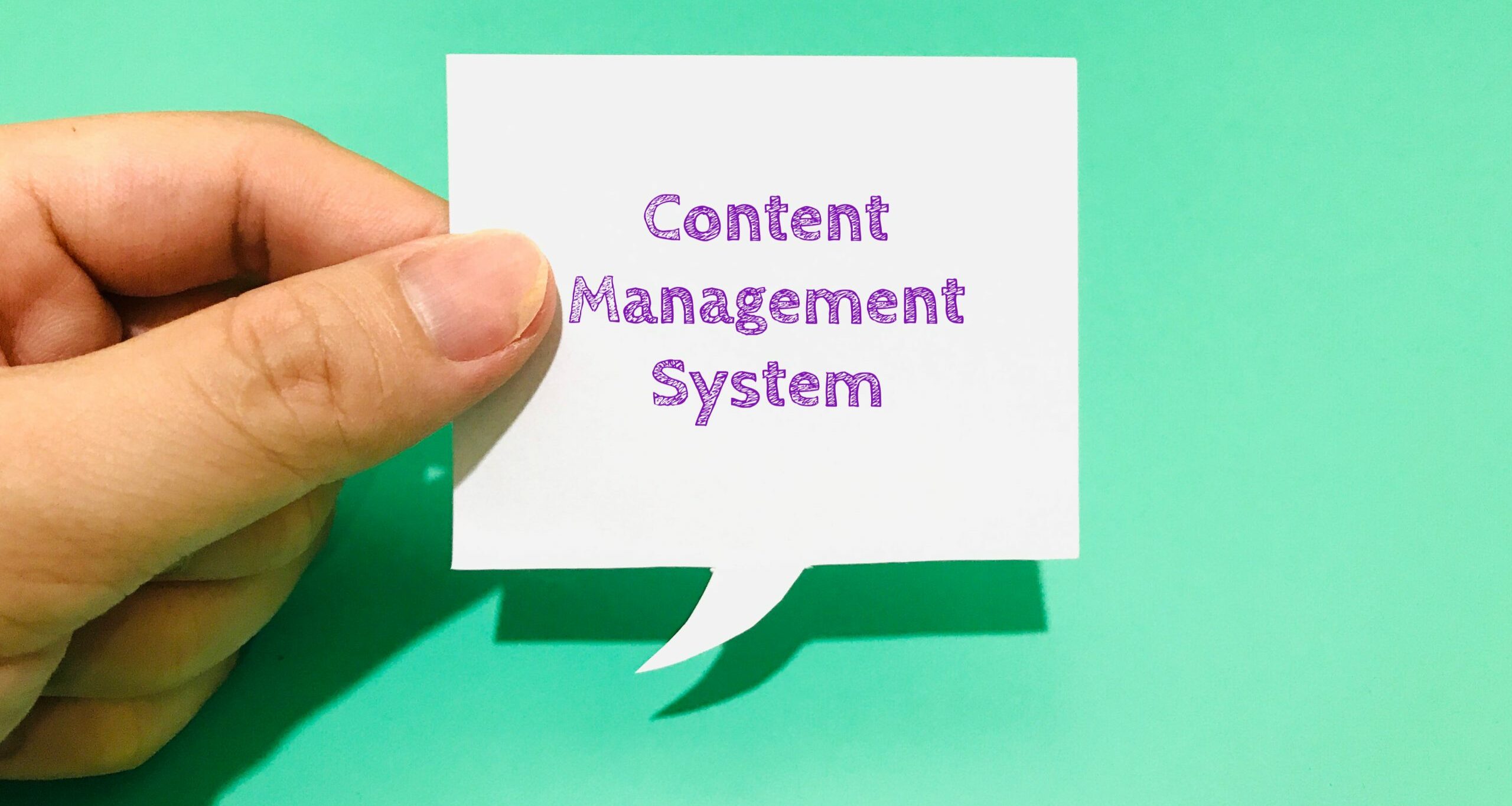 Wordpress a content management system