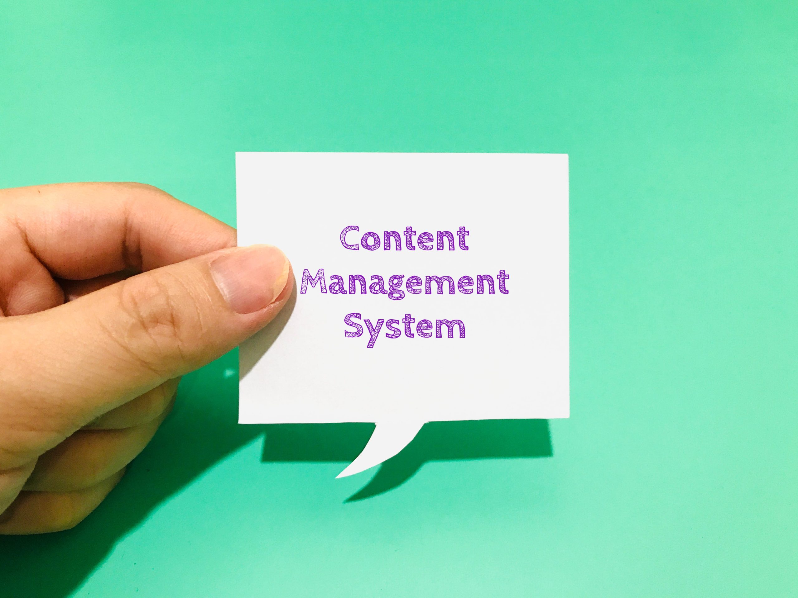 Wordpress a content management system