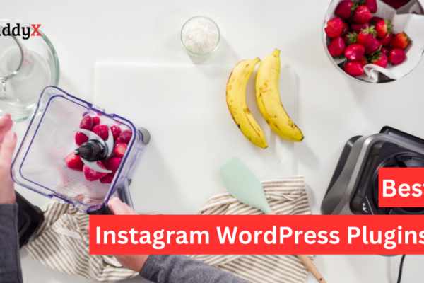 Instagram WordPress Plugins