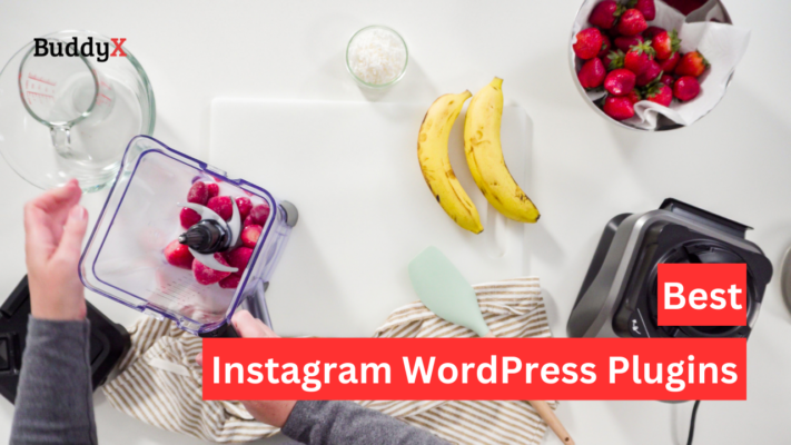 10 Best Instagram WordPress Plugins Of 2025