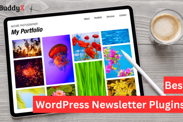 WordPress Newsletter Plugins
