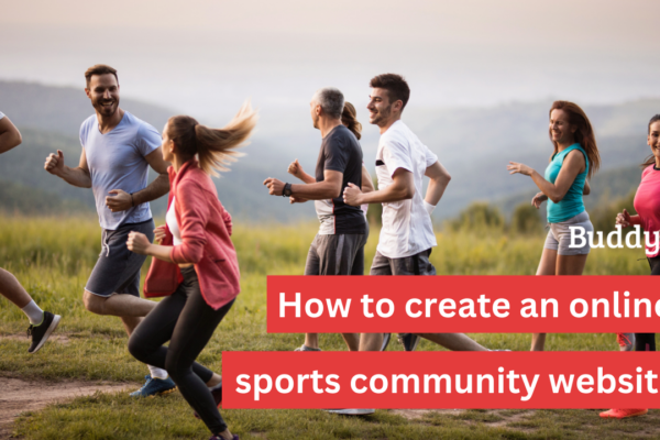 How to create an online sports community website for free using WordPress?