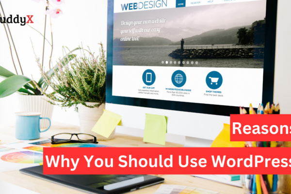 Reasons To Use WordPress