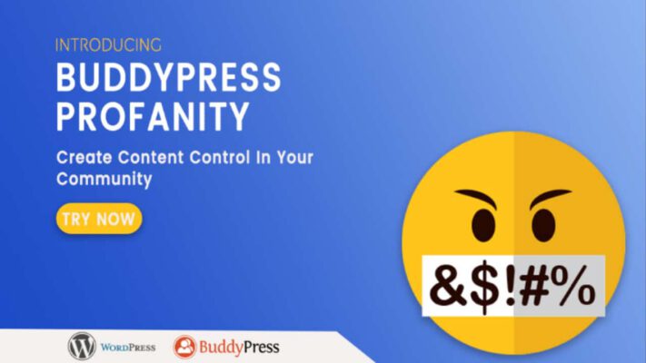 How Can We Keep Safe and Secure Our Buddypress Community