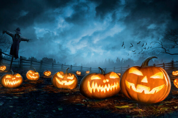 WordPress halloween deals