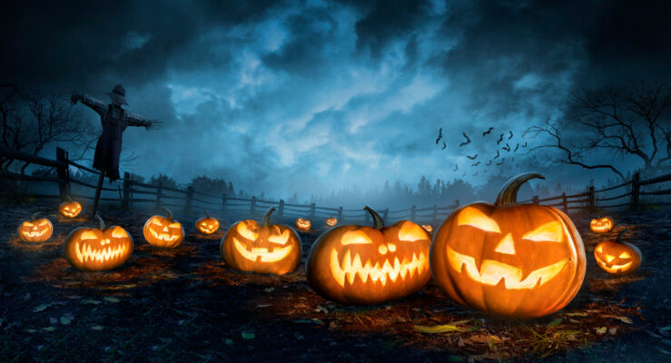 WordPress Halloween Deals and Coupons for 2024