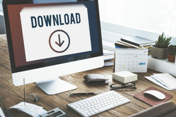 Download WordPress
