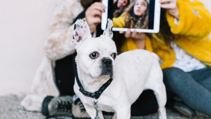 Best AI Tools for Pet Care: Enhance Your Pet’s Health, Behavior, and Nutrition in 2025