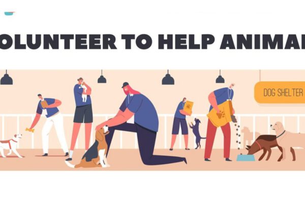 Fundraising Ideas for Animal Shelters