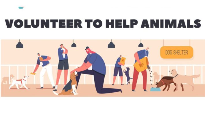 “Top Fundraising Ideas for Animal Shelters to Make a Difference