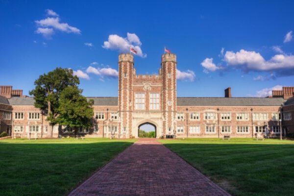 Best Free WordPress Themes for University Websites