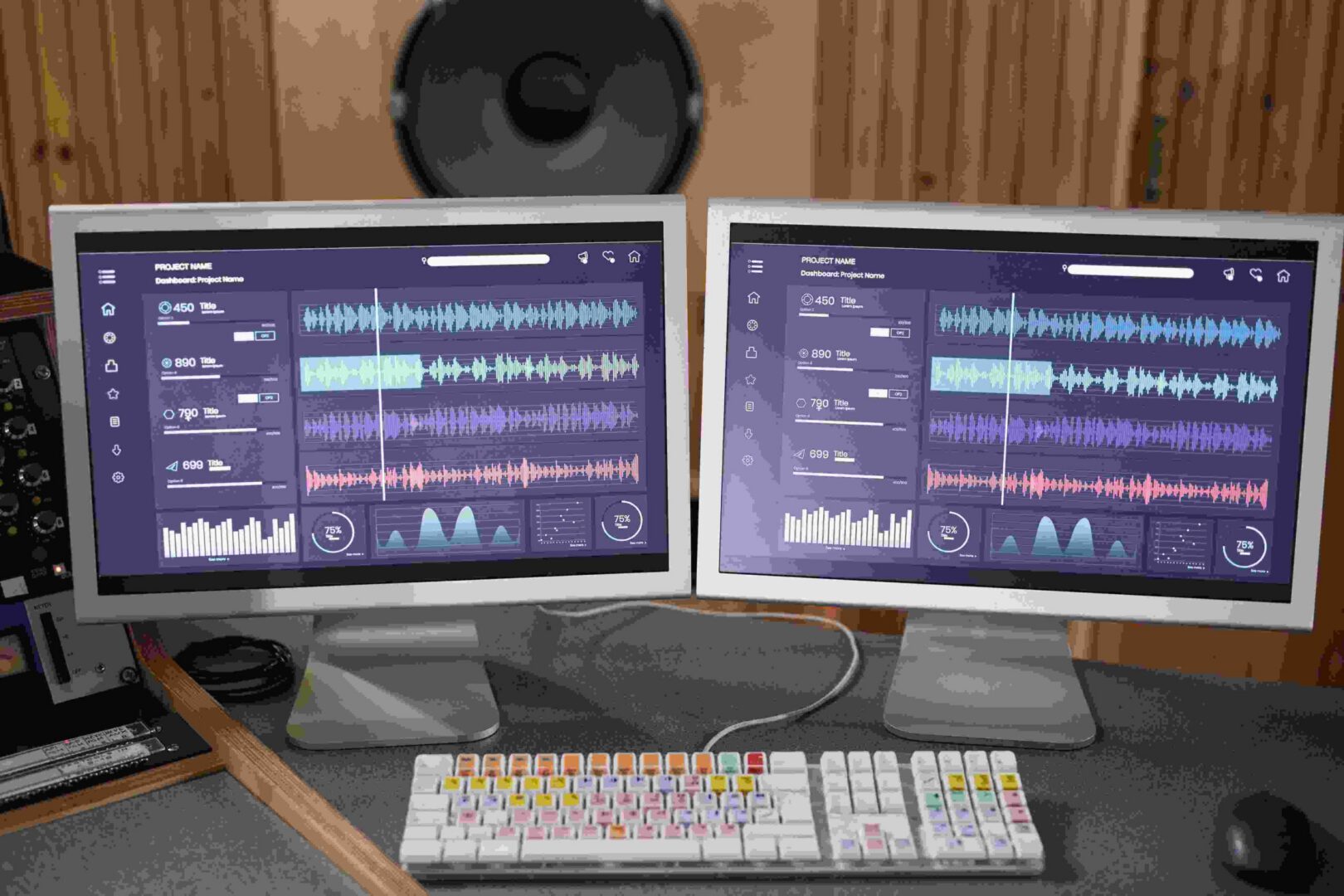 Audio Redaction Software