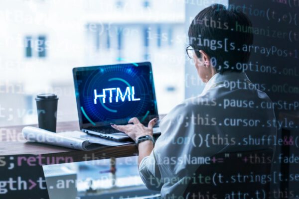 Top WordPress Agencies