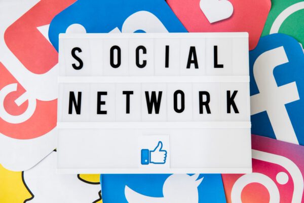 WordPress Social Networking Themes