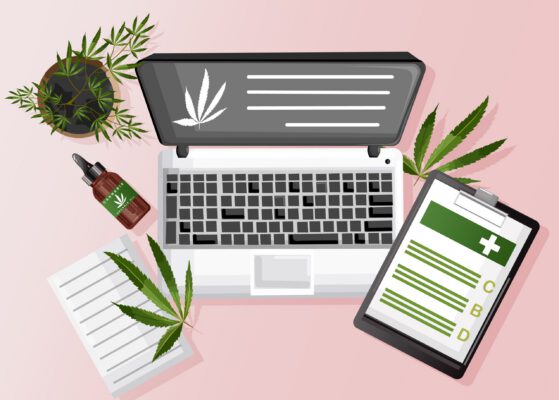 How Cannabis Businesses Can Compete Online Without Paid Ads