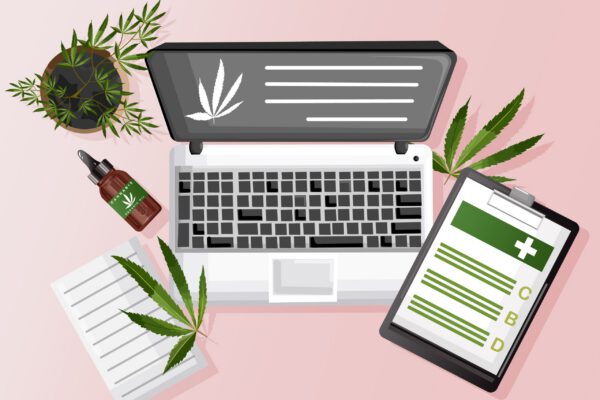 How Cannabis Businesses Can Compete Online Without Paid Ads