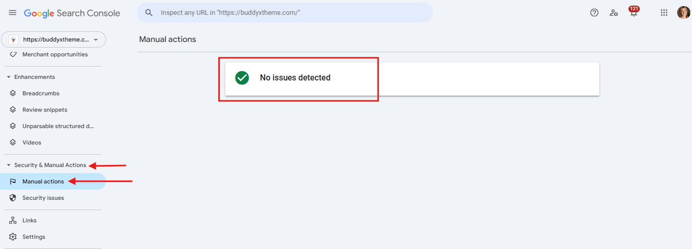 Security & Manual Actions