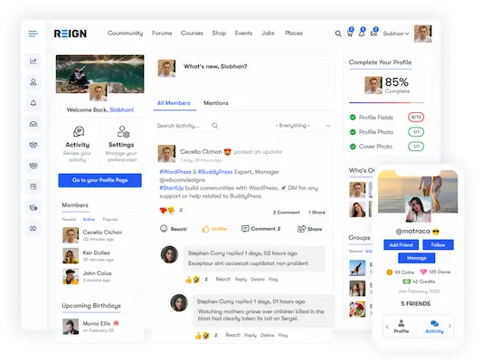 Reign Theme: The Community Builder’s Secret Weapon