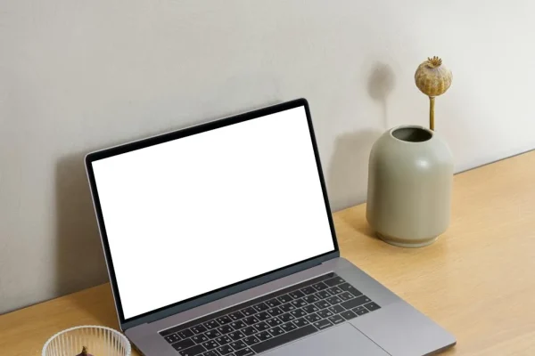 Plagiarism and AI detection tools for professional writers