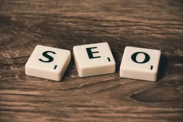 Search functionality on WordPress website for better content discovery