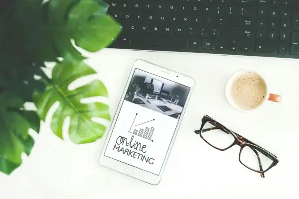 WordPress blogger using ad insertion plugin for website monetization