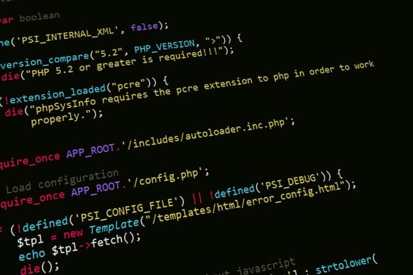Programming code on a computer screen representing AI inference API development