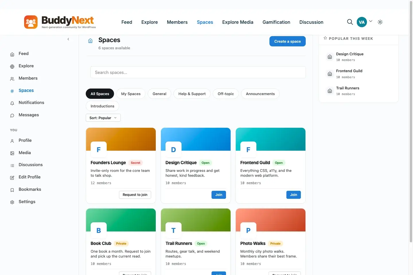 BuddyNext Spaces interface showing open, private, and secret community spaces
