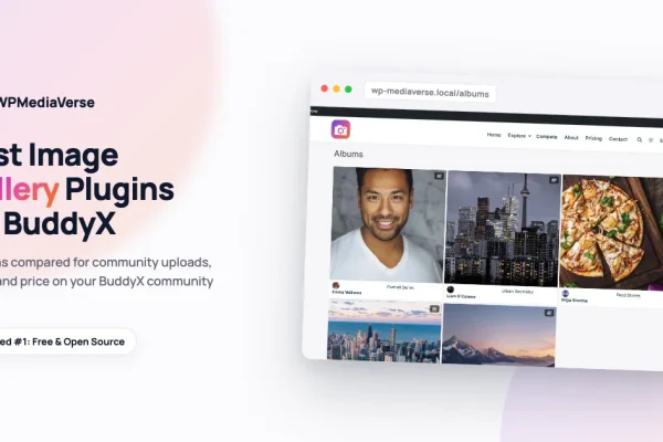 Best image gallery plugins compared for BuddyX community sites, featuring WPMediaVerse