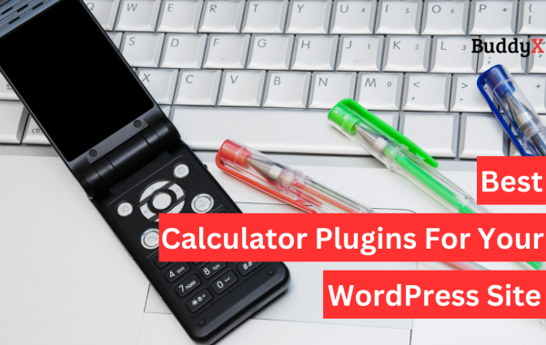 Calculator Plugins For Your WordPress Site
