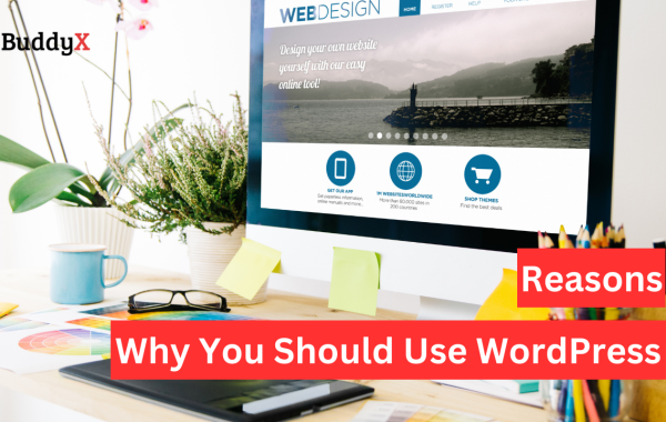 Reasons To Use WordPress